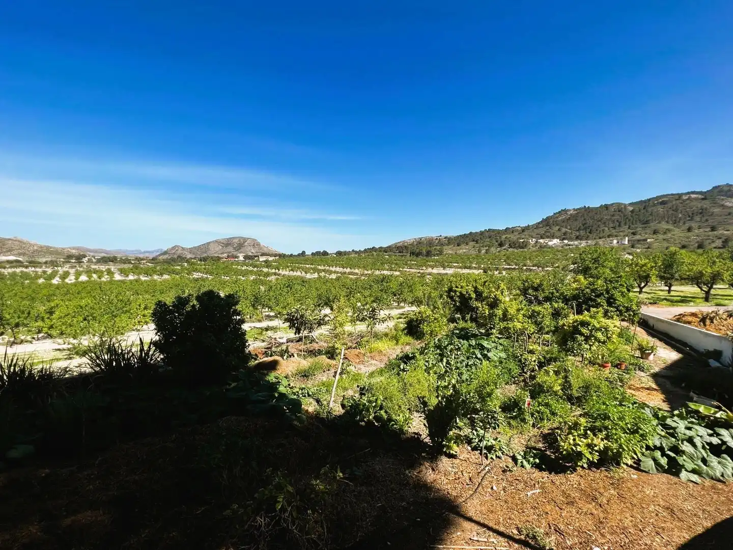 Finca rústica en venta en Monóvar  / Monòver con Aire acondicionado, Calefacción y Jardín privado