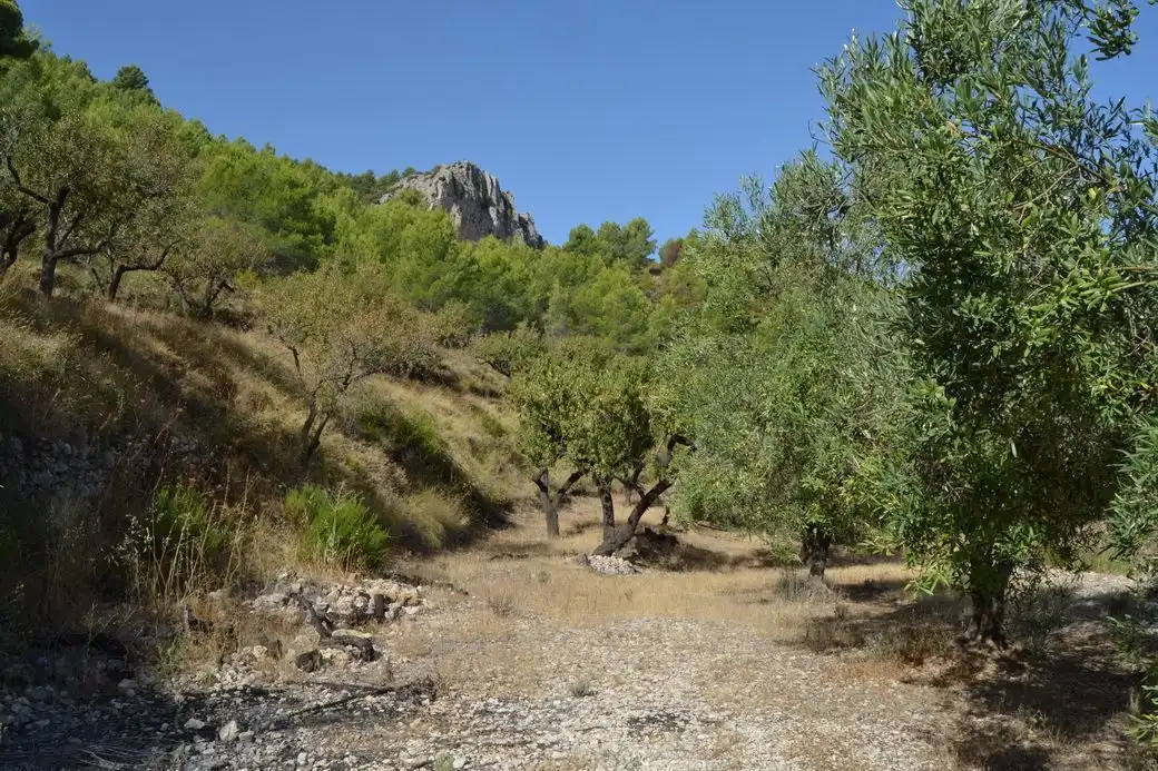 Grundstücke und Bauplätze zum Verkauf in El Castell de Guadalest, imagen 8