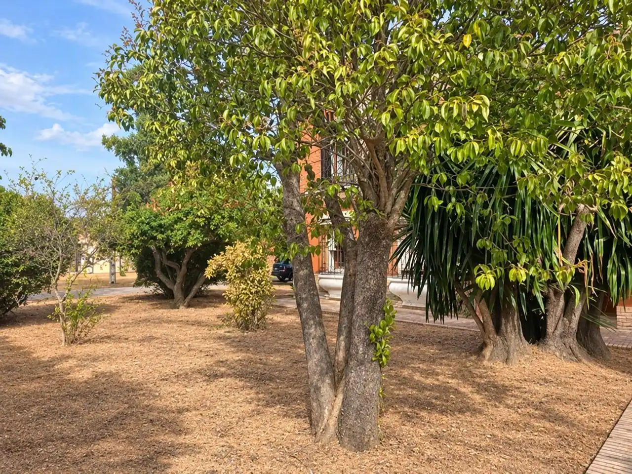Maison rustique avec terrasse à vendre à Écija, imagen 6