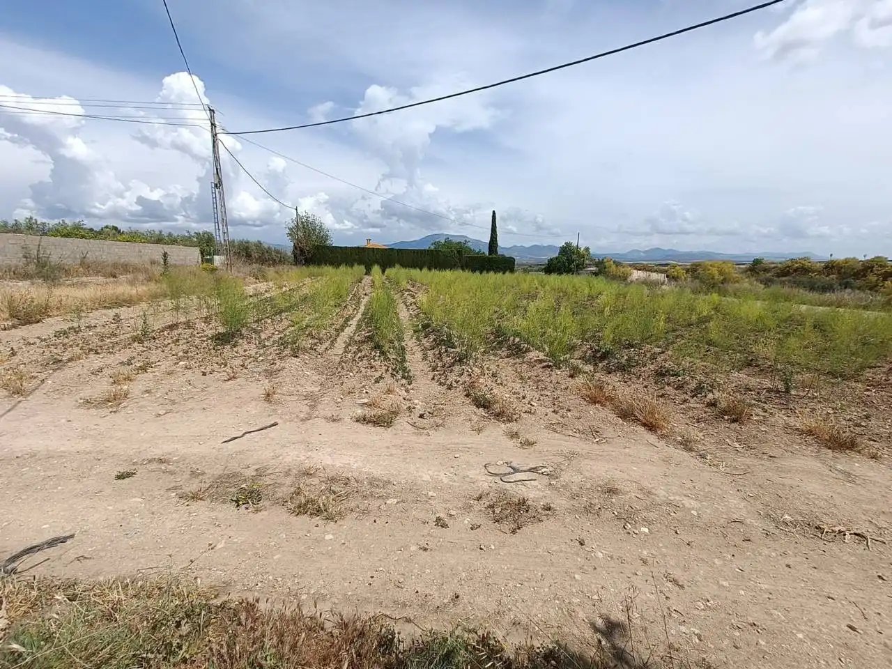 Rural land for sale in Moraleda de Zafayona, imagen 3