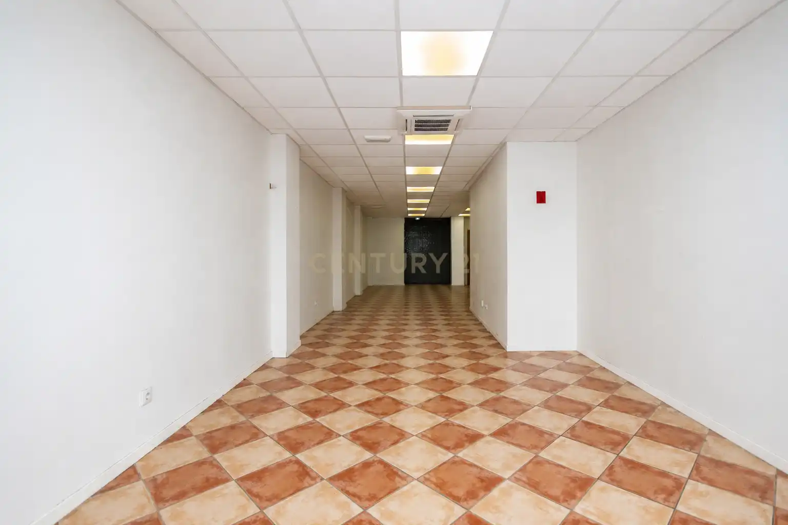 Gewerbefläche zum Verkauf in Avinguda de la Llibertat, 74, San Vicente del Raspeig, Spain, imagen 5