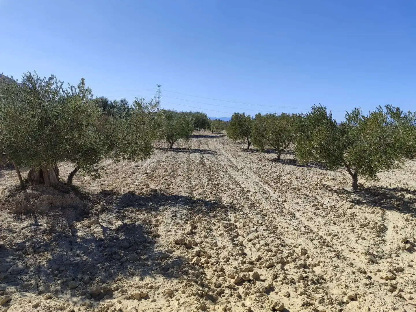 Lands and plots for sale in Abanilla, imagen 13
