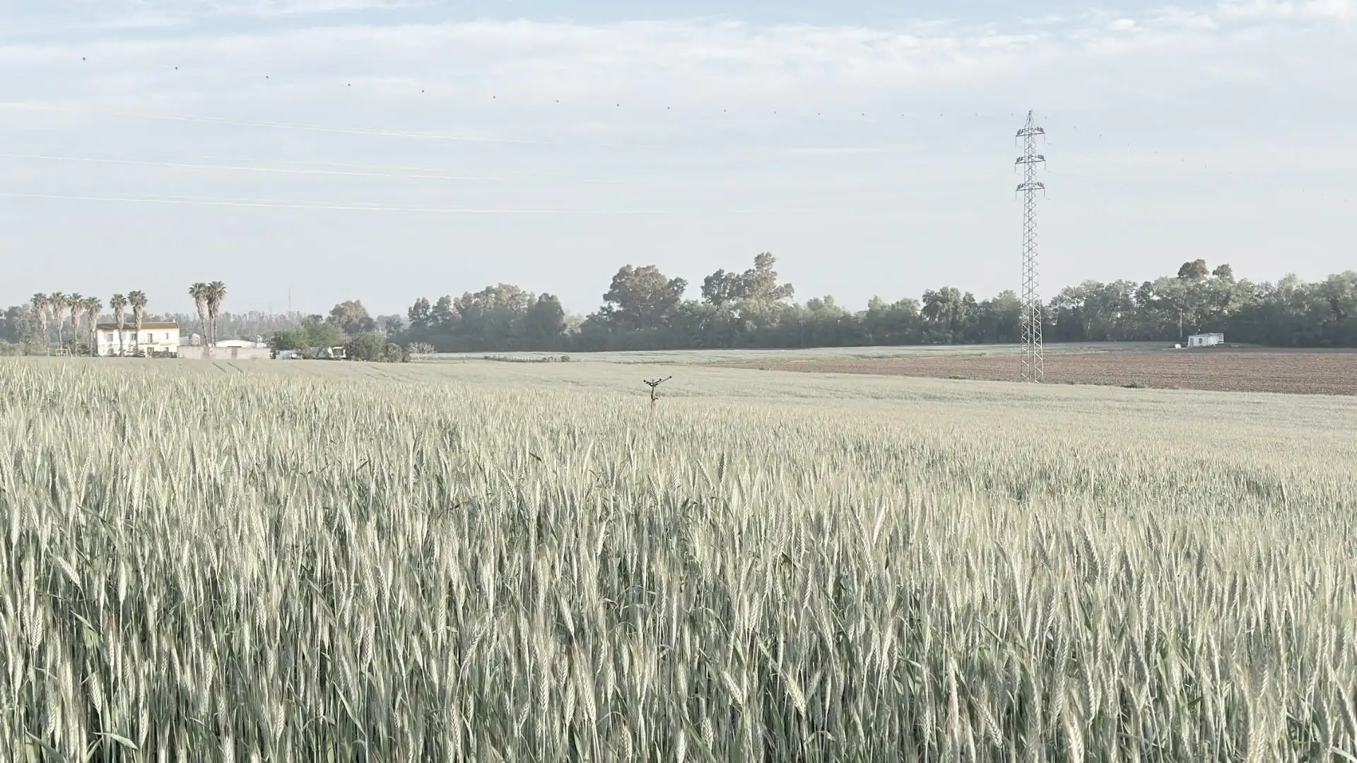 Finca rústica en venda en Huelva amb Aire condicionat, Terrassa i Piscina