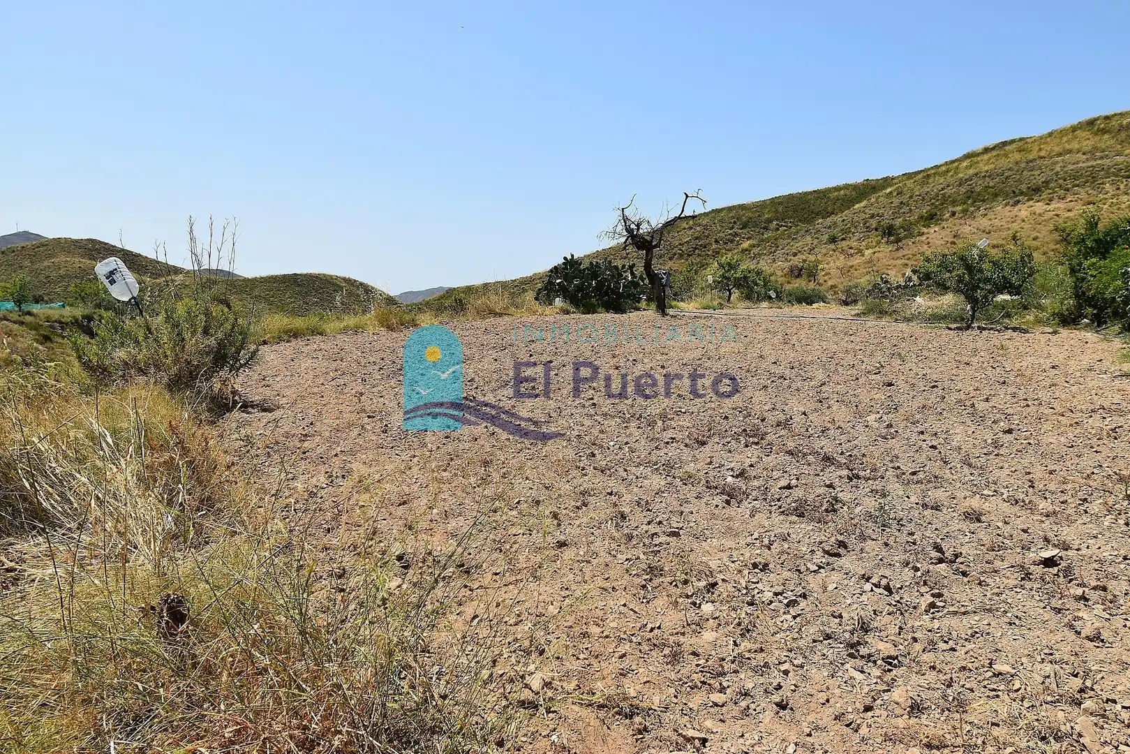 Country homes for sale in Lorca