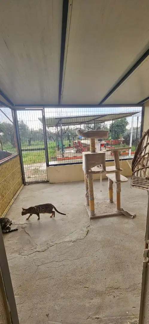 Jardín de Finca rústica en venta en Botarell con Jardín privado, Trastero y Amueblado