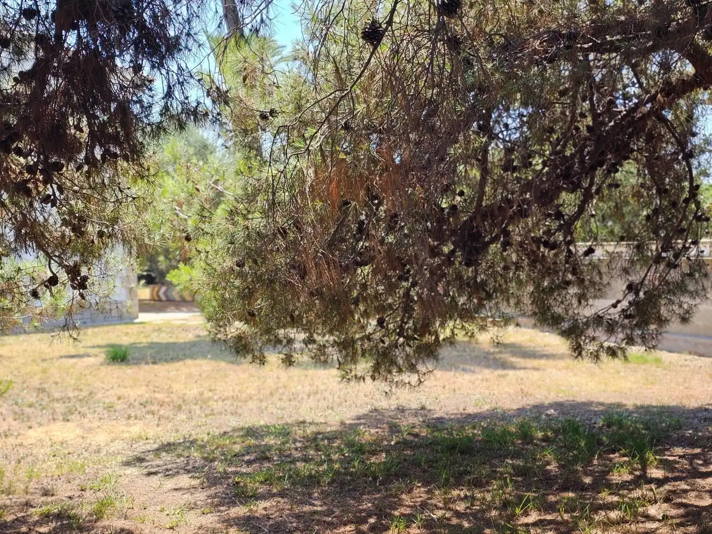 Residencial en venta en Castellón de la Plana / Castelló de la Plana