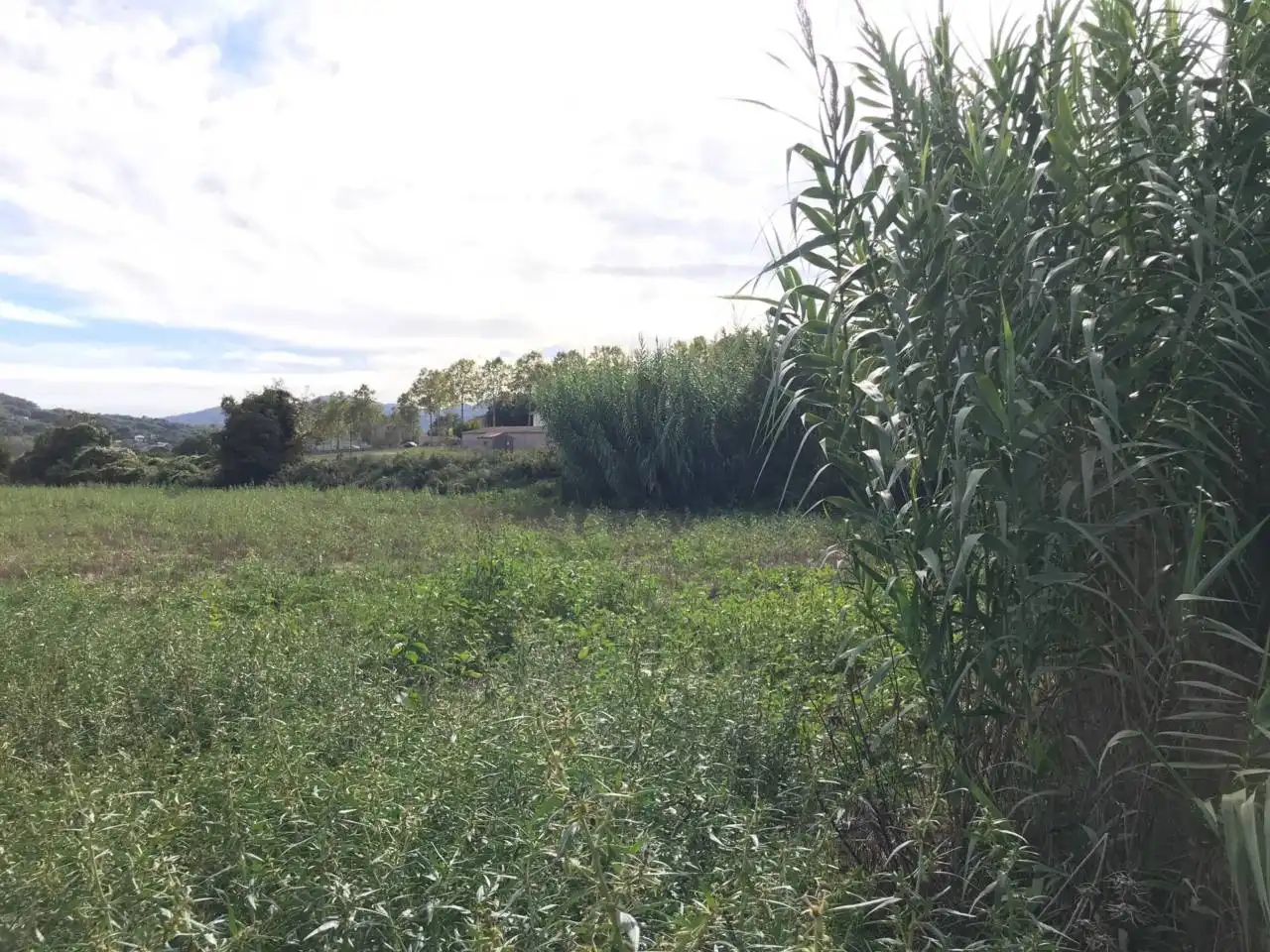 Land for sale in Vilanova del Vallès