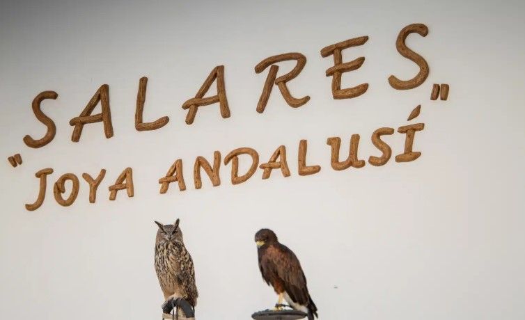 Finca rústica en venda en Salares amb Balcó