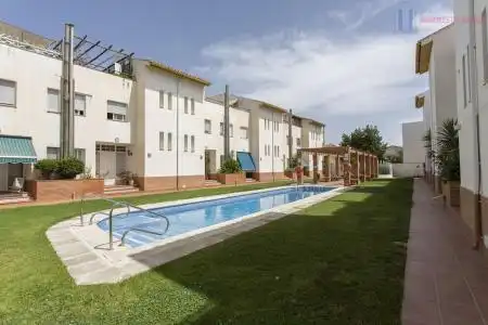 Swimming pool of Houses for sale in Padul
