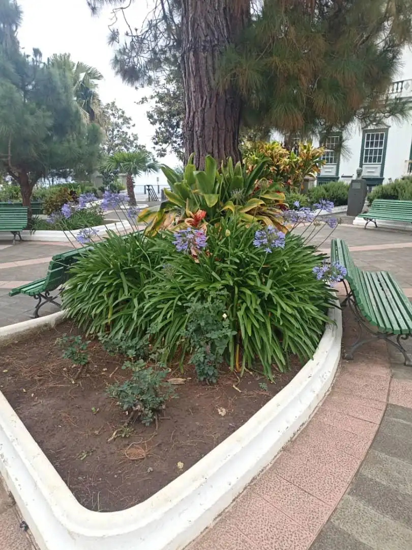Jardí de Edifici en venda en San Andrés y Sauces