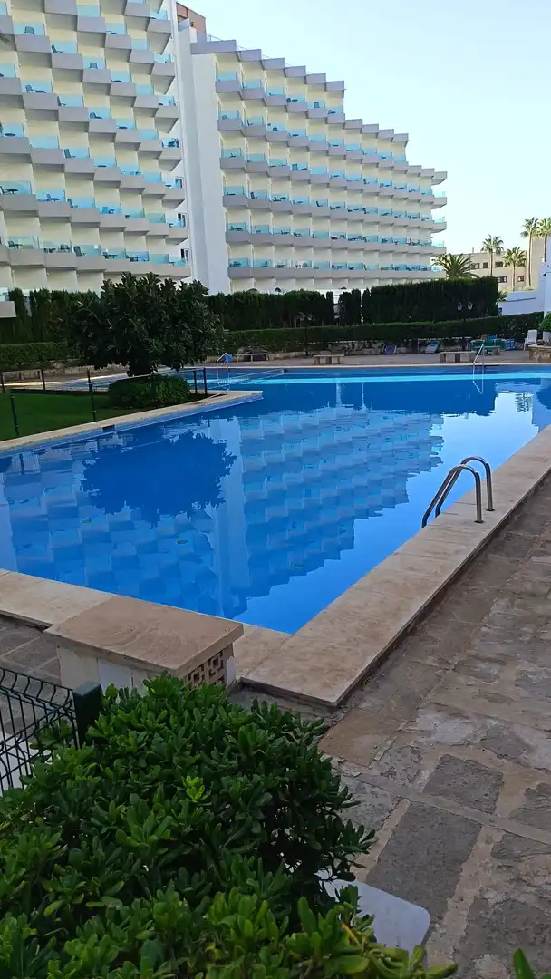 Swimming pool of Flat for rent in Calvià  with Private garden, Terrace and Swimming Pool