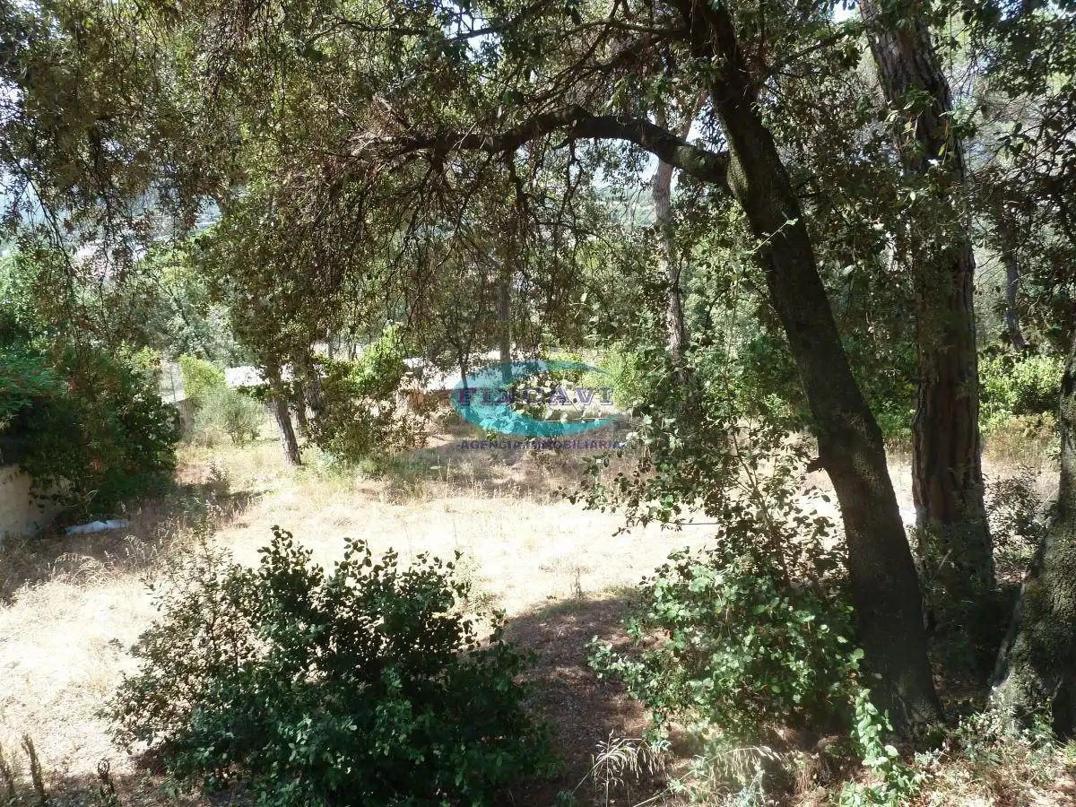 Terrenys i solars en venda a Bigues i Riells del Fai