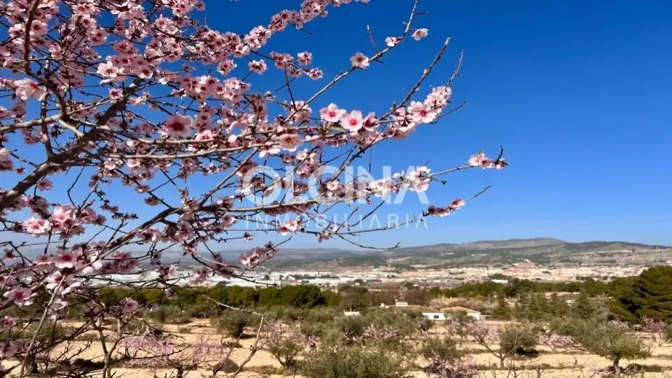 Vista exterior de Finca rústica en venta en Ibi