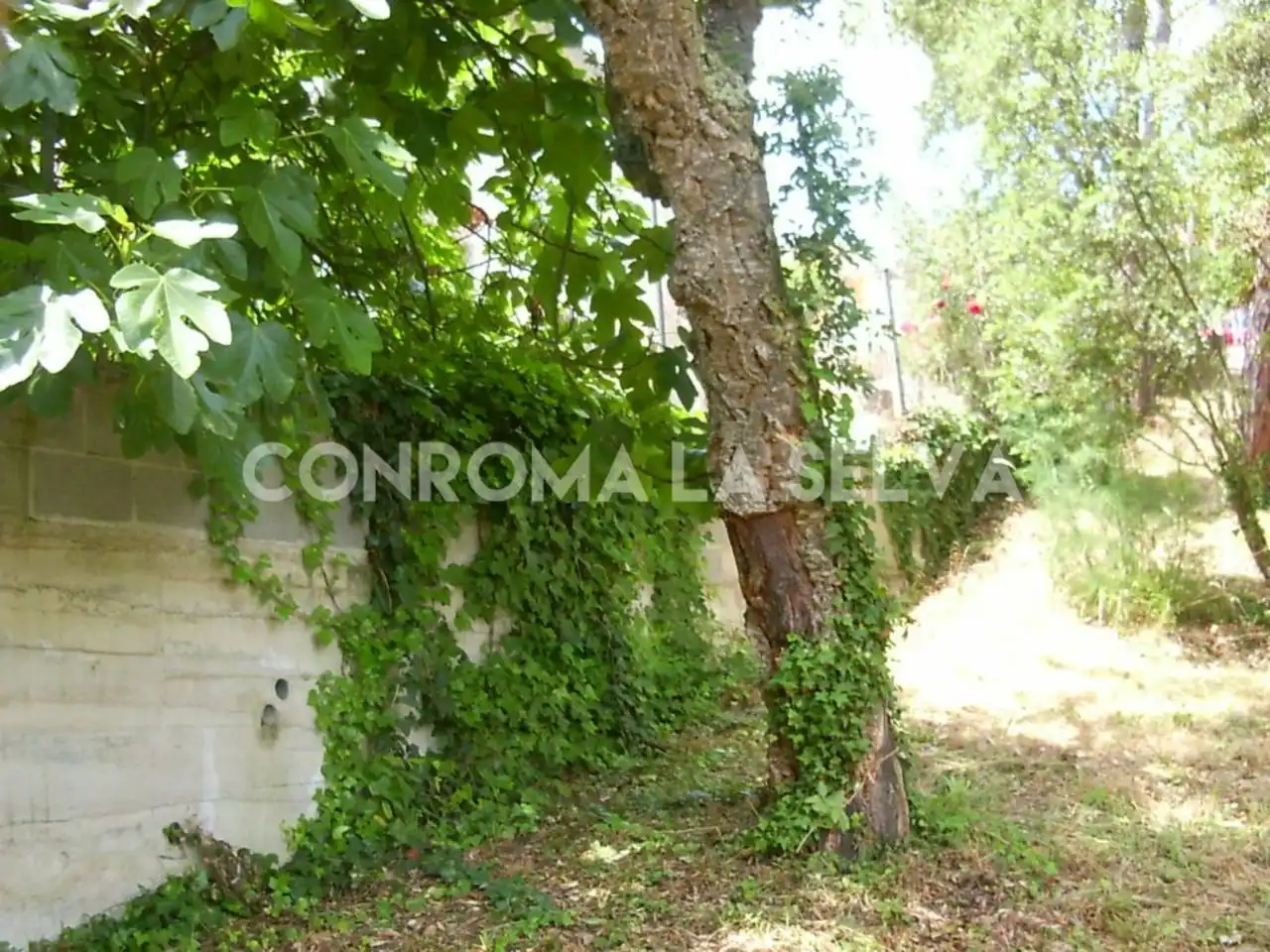 Residential land for sale in Residencial Park, imagen 9