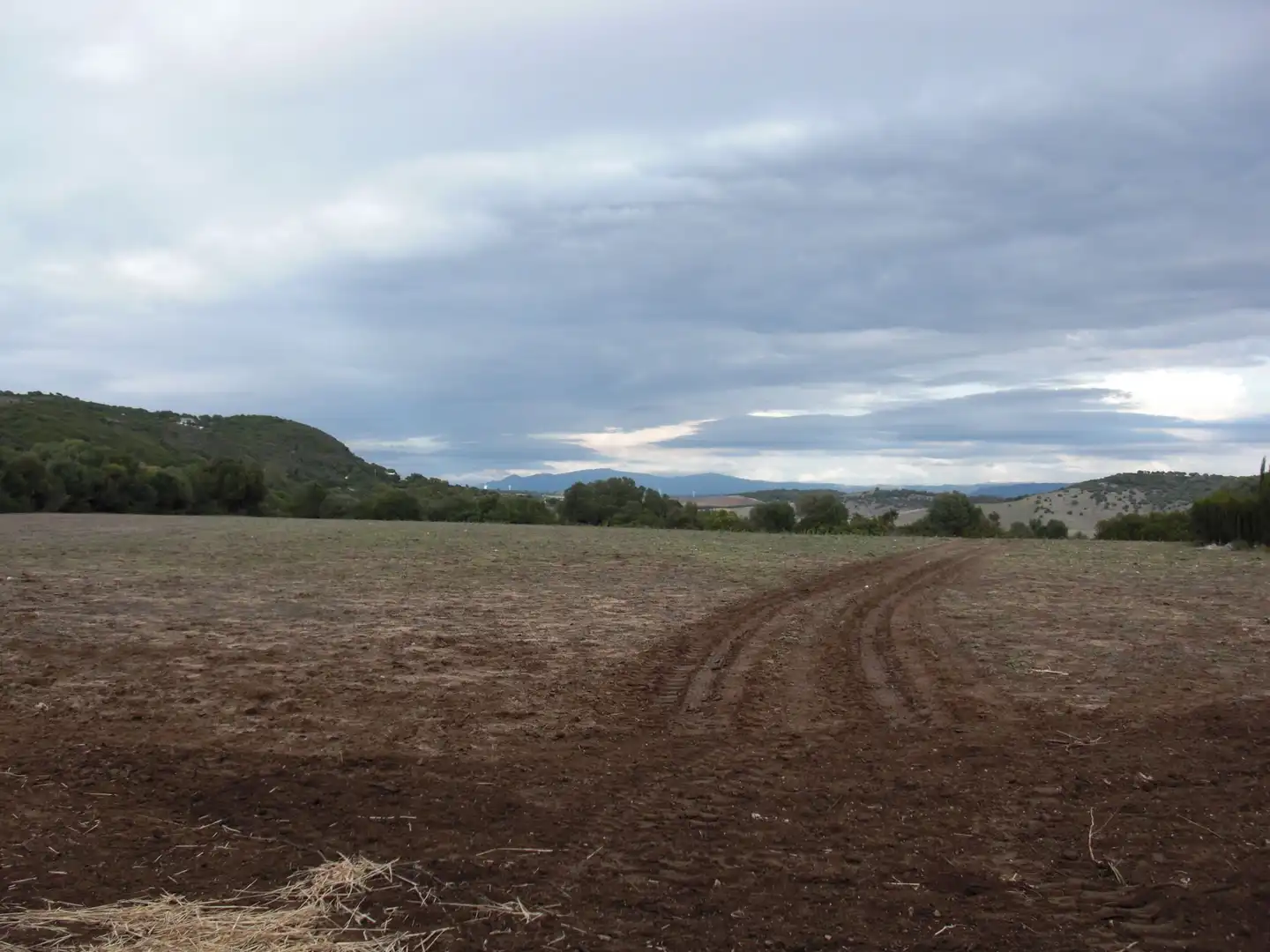 Finca rústica en venda en Vejer de la Frontera