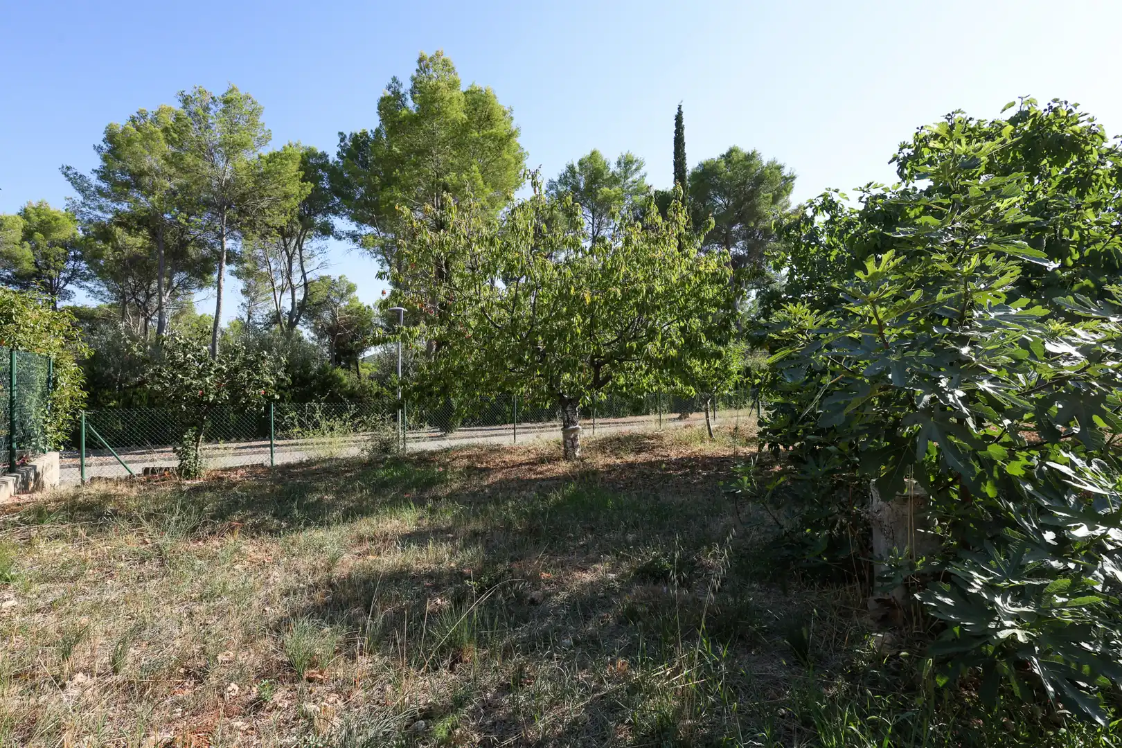 Terreno residencial en venta en Collbató, imagen 7