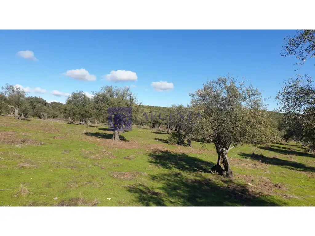 Houses for sale in Diseminados S Miguel, Alcántara