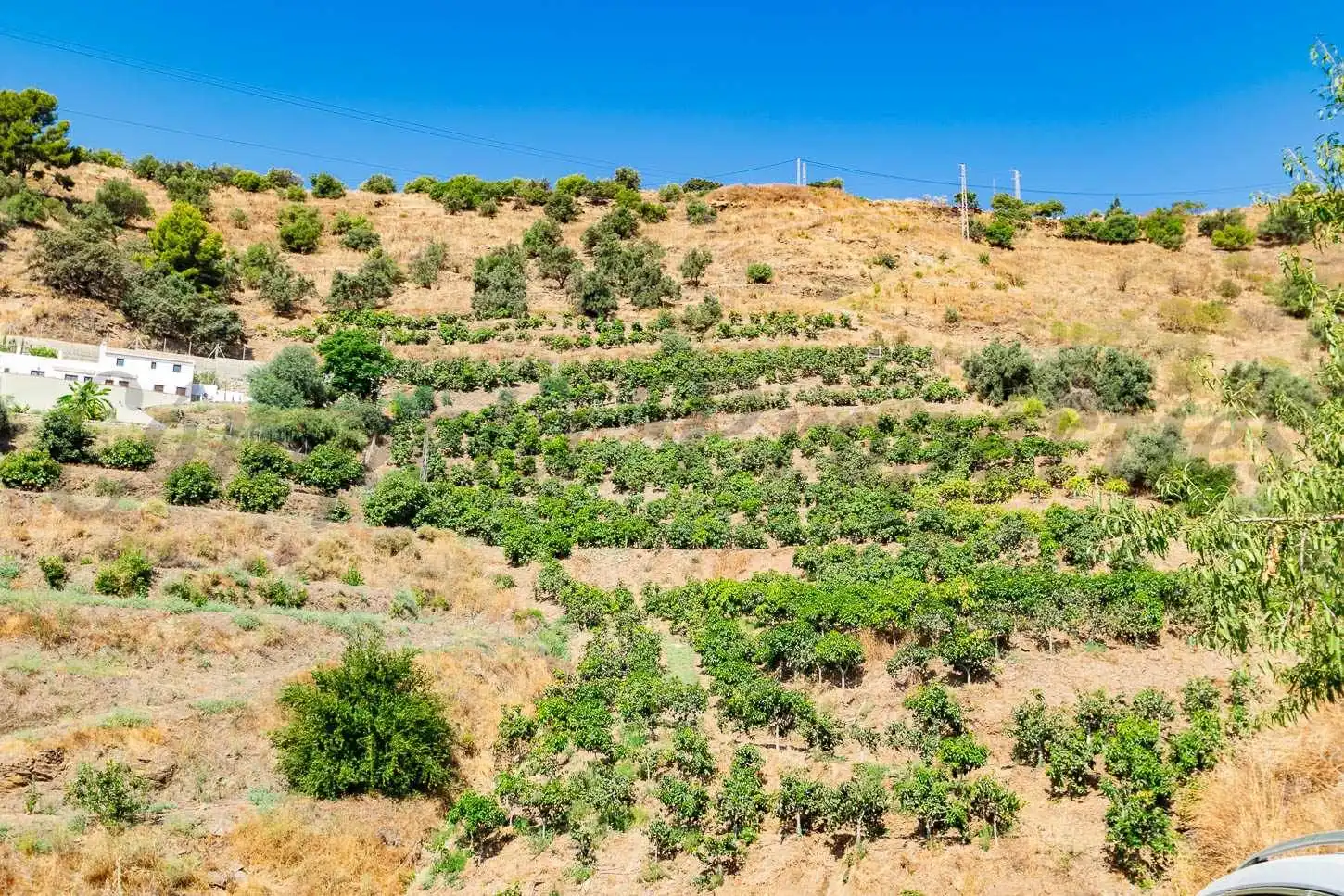 Rustikales Grundstück zum Verkauf in Torrox Pueblo, imagen 7