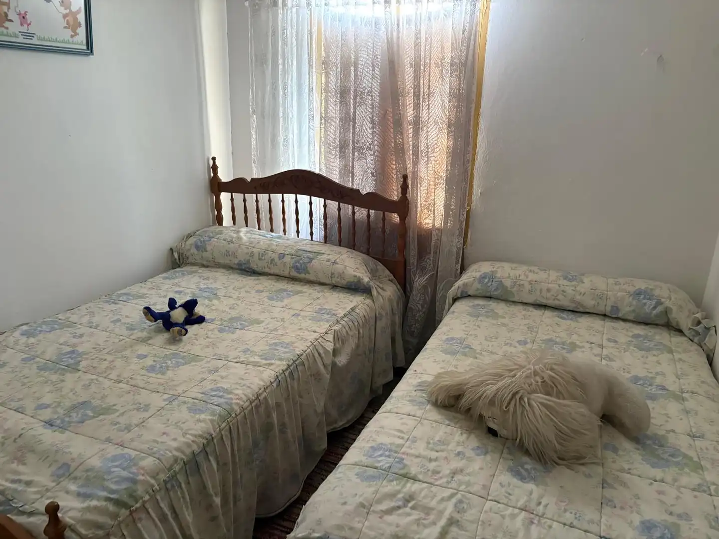 Habitación de Casa o chalet en venta en Montijo con Jardín privado