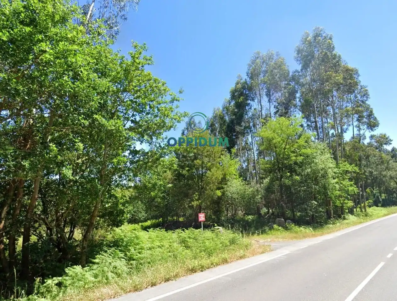 Terreni e lotti in vendita a Lugar LOUREIROS, imagen 7