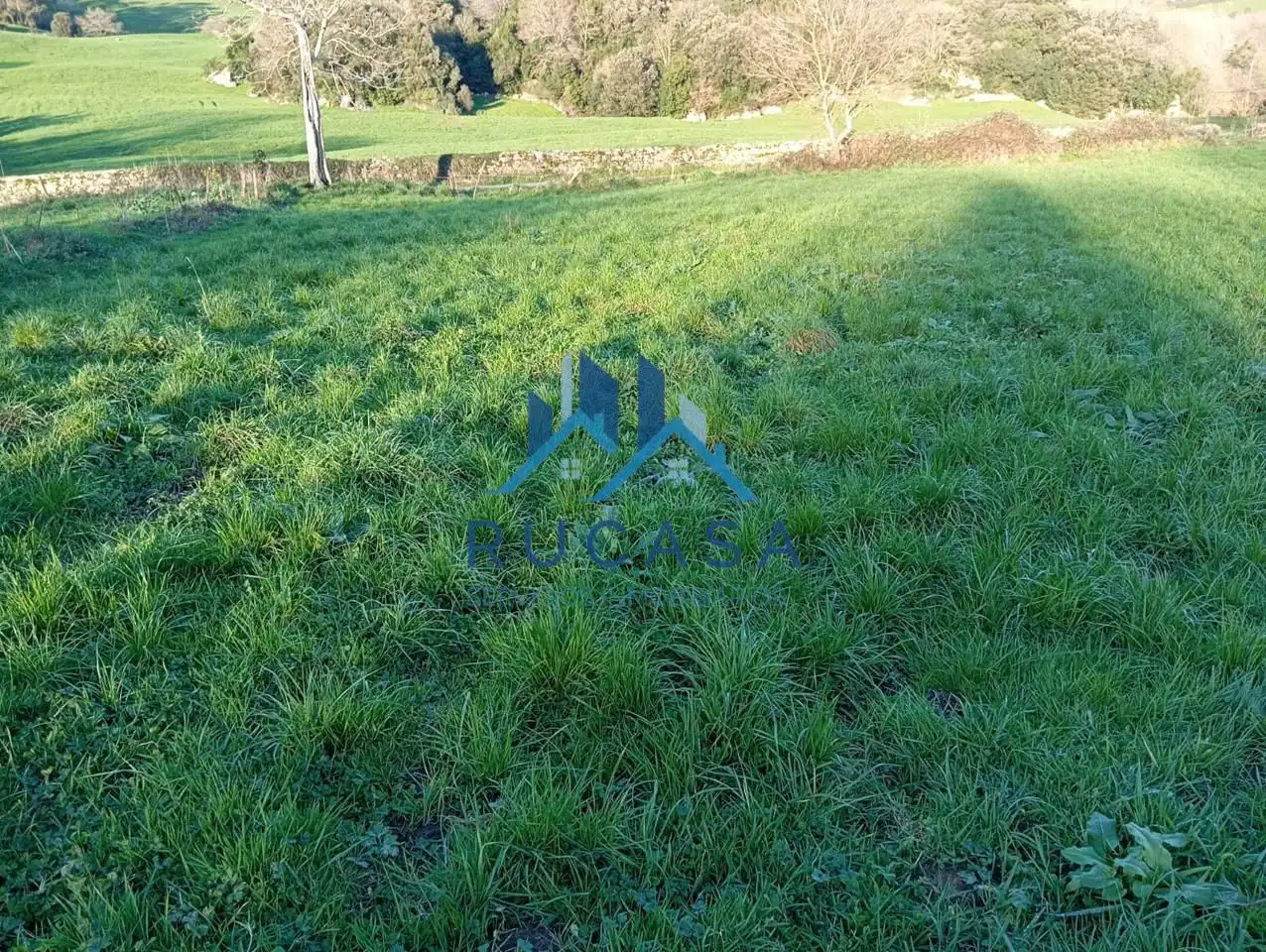 Terrenos y solares en venta en hazas de cesto