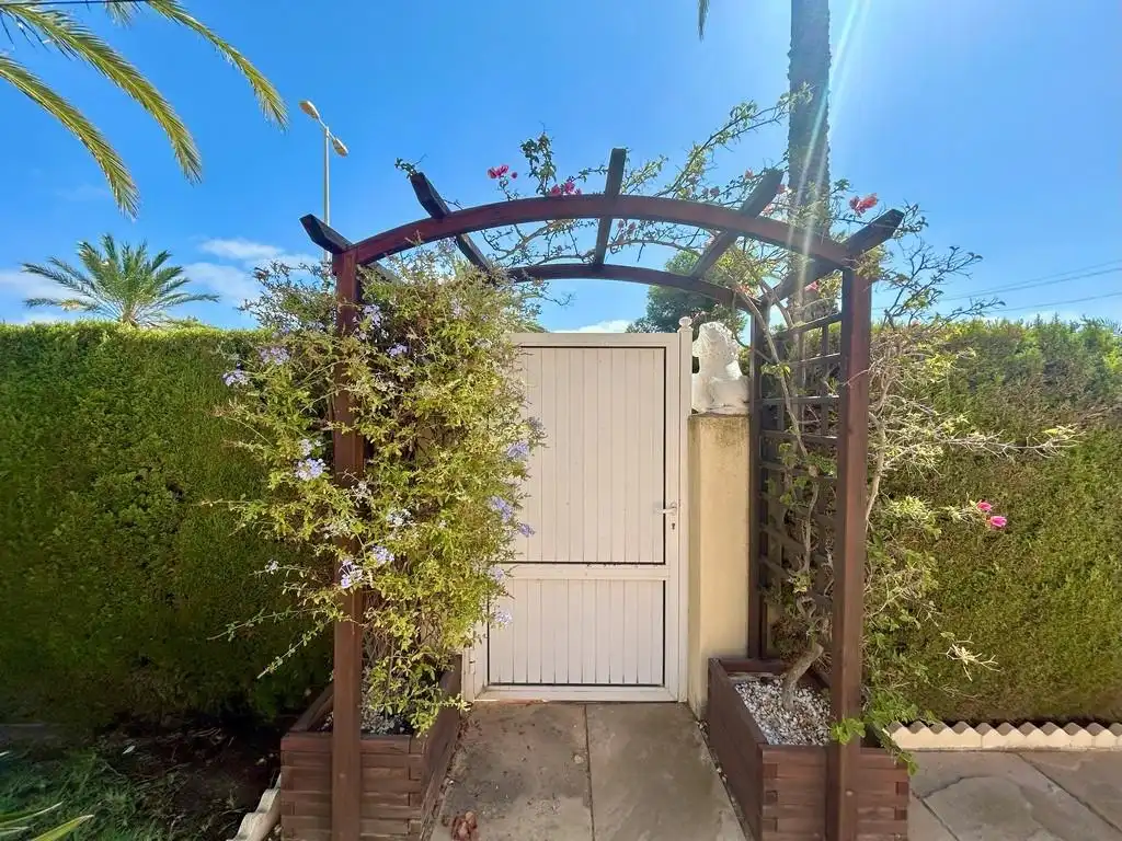 Jardí de Casa o xalet en venda en Orihuela amb Piscina