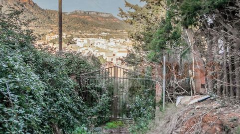 Foto 3 de Finca rústica en venta en Camino de Sant Antoni, Alforja, Tarragona