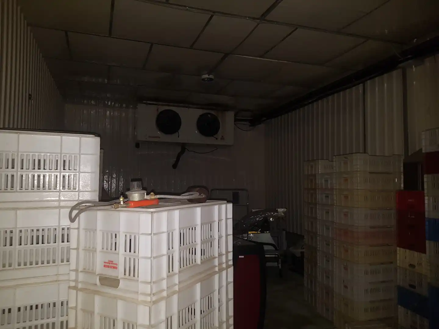 Fabrikhallen zur Miete in Quintana Redonda