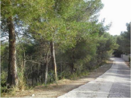 Terreno en Venta en CL MIRADOR Nº 28-30-PAR. en Canyelles
