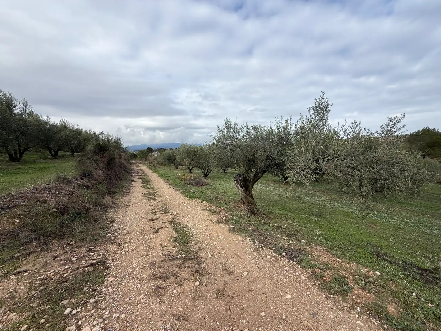 Terrain rustique à vendre à Camí de Vallmoll a Valls 17, imagen 17