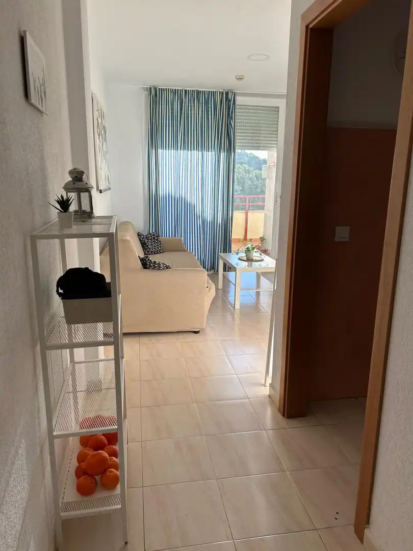 Sala d'estar de Apartament en venda en Barbate amb Aire condicionat i Terrassa