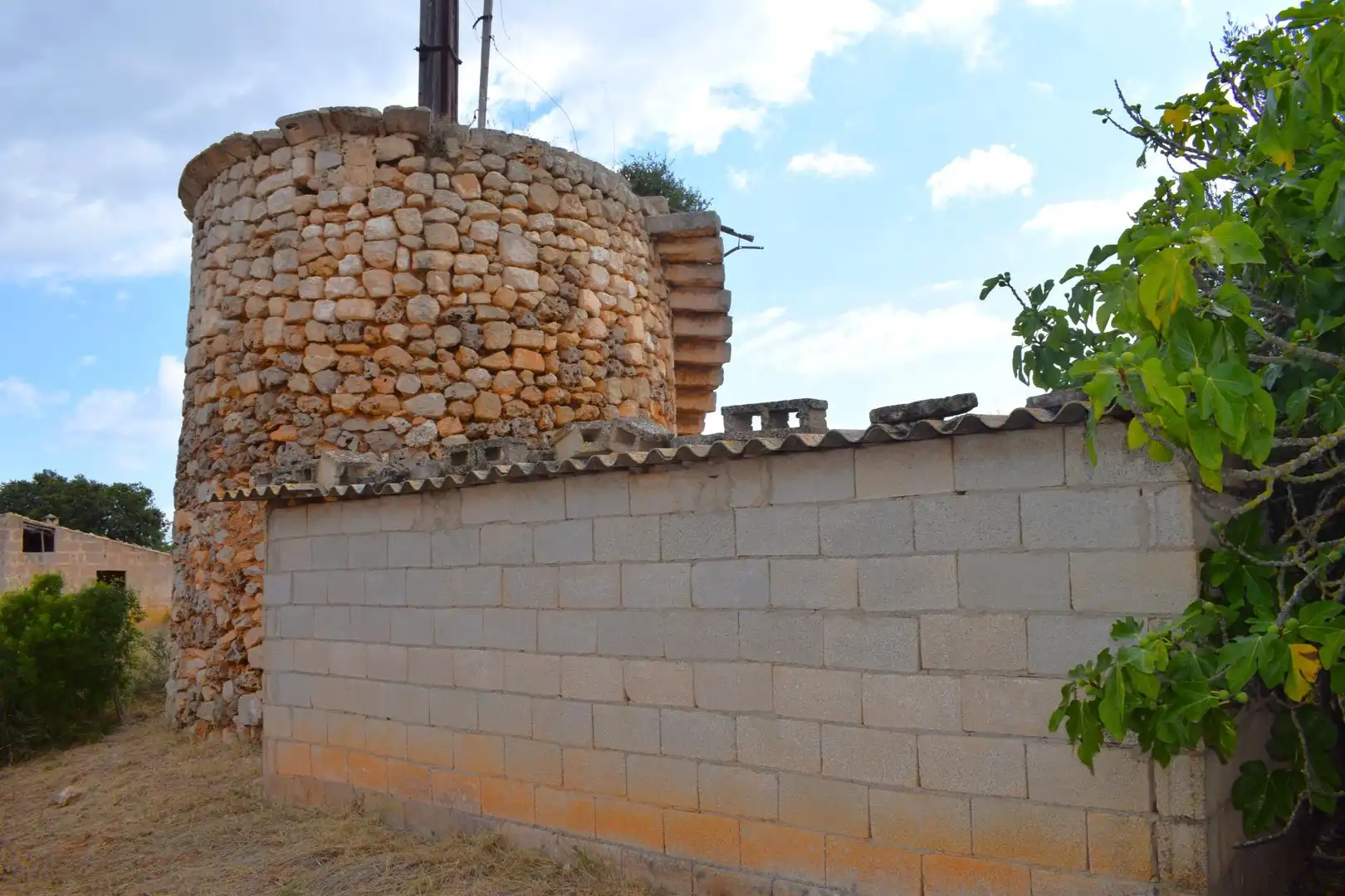 Terreny rústic en venda a Muro, imagen 17