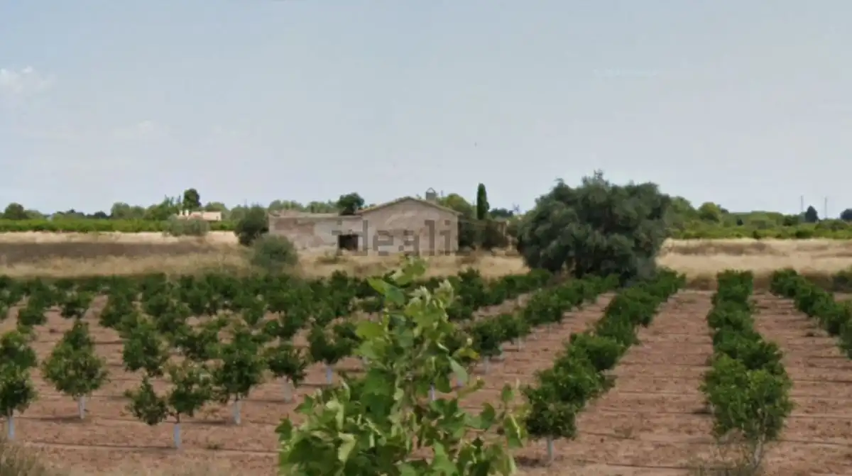 Villa zum Verkauf in burriana- vilareal, imagen 3