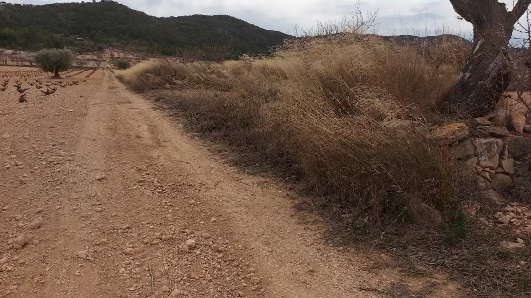 Residencial en venda en Abanilla