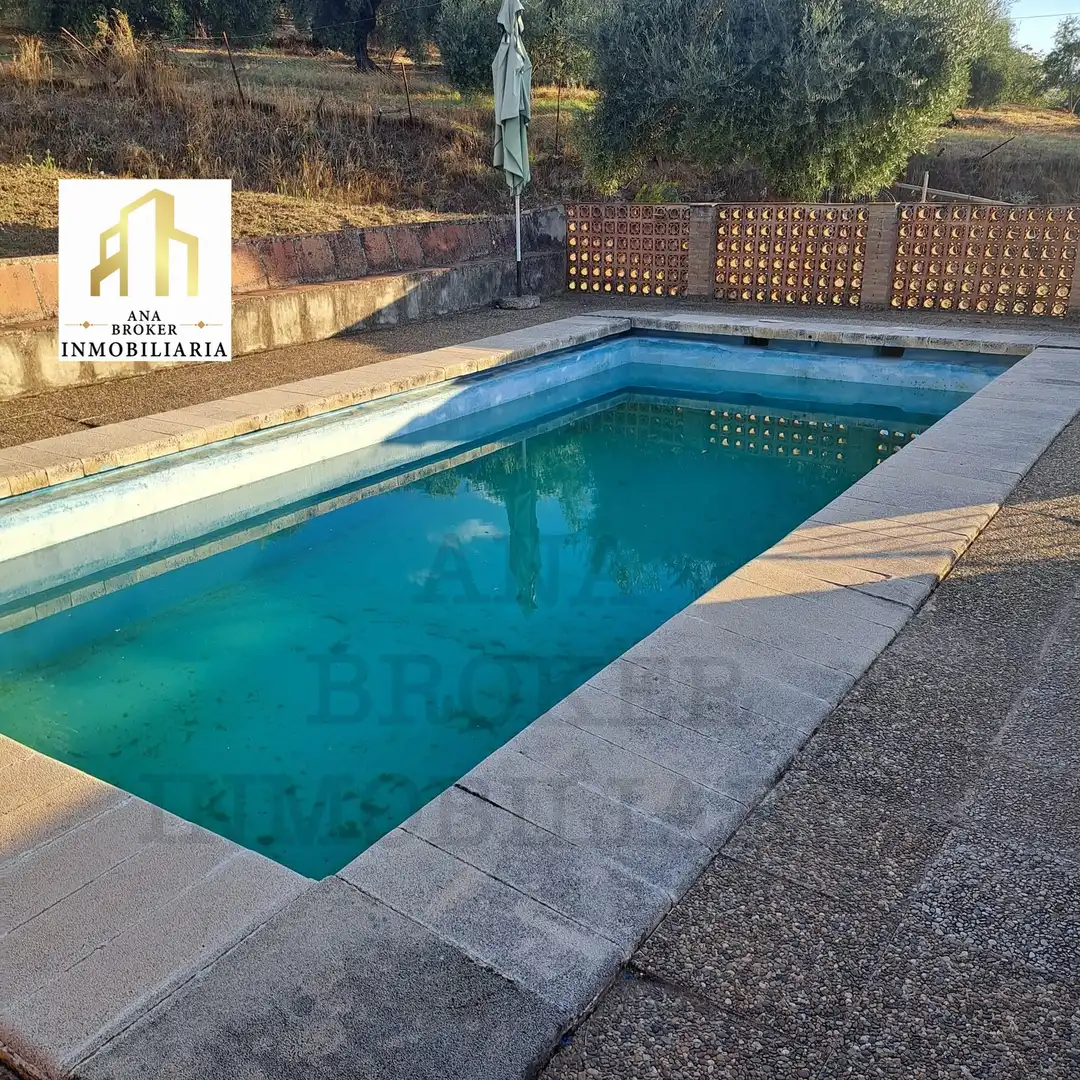 Piscina de Finca rústica en venda en Arriate amb Jardí privat i Piscina