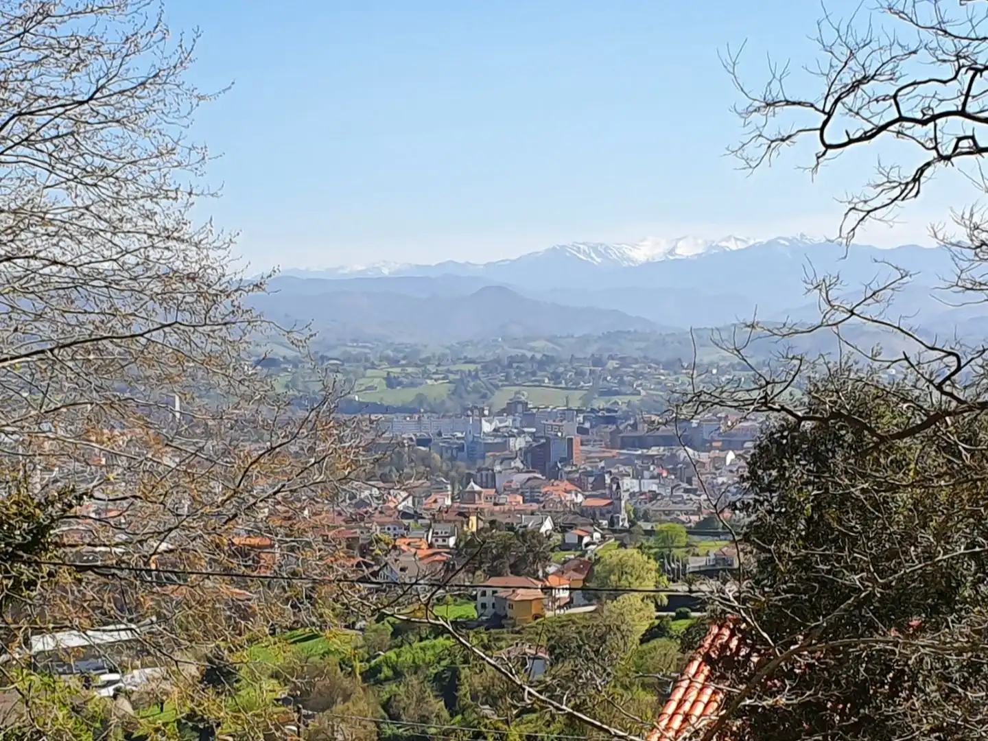 Vista exterior de Piso en venta en Oviedo  con Balcón