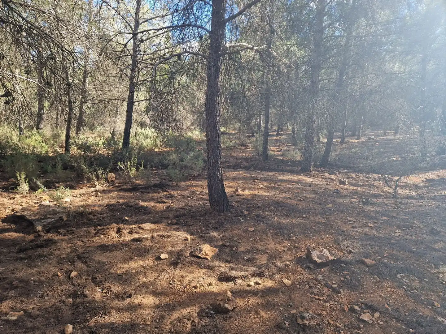 Rural land for sale in Pantano de Peñarroya 0, imagen 52