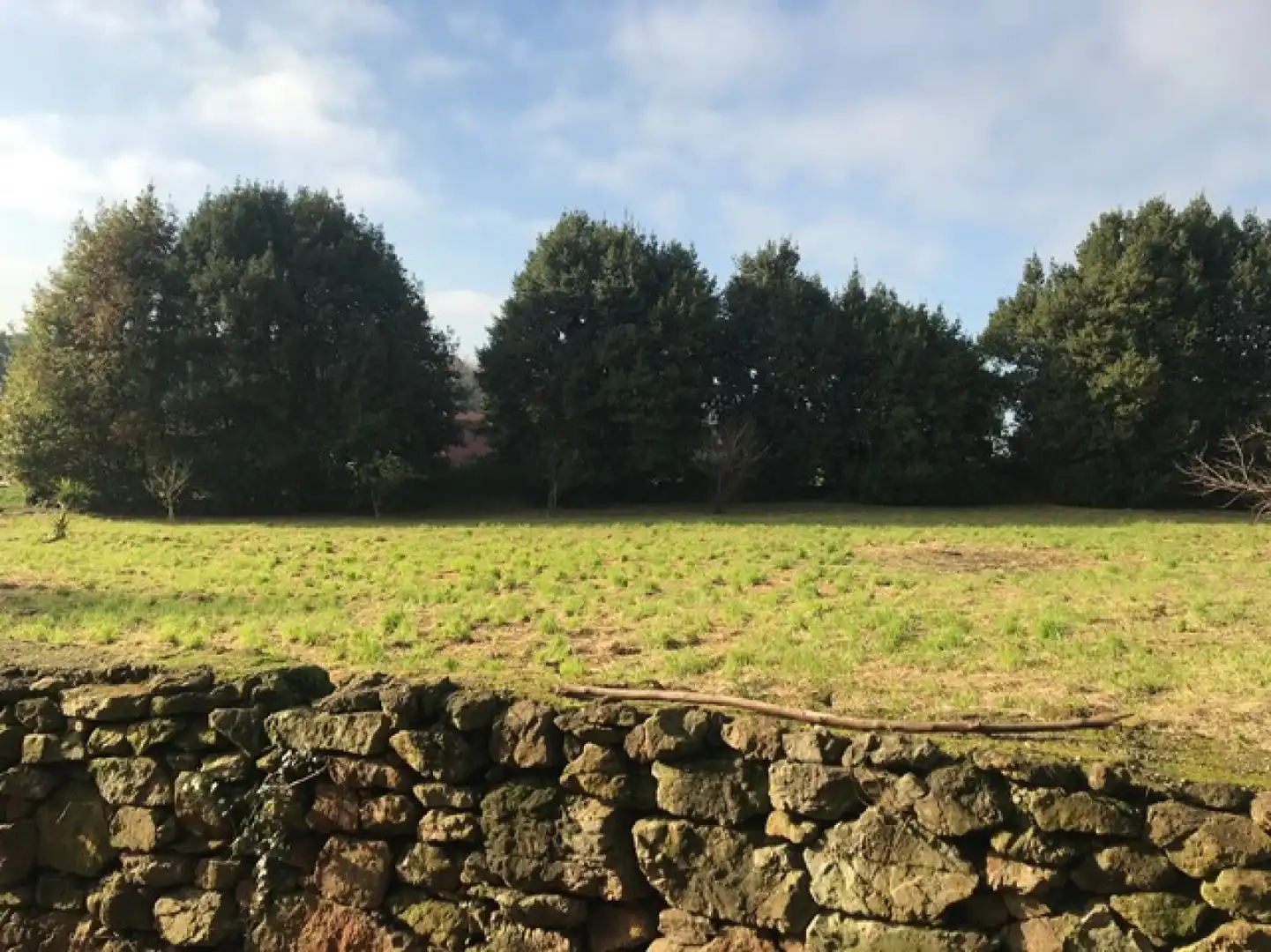 Terreno residenziale in vendita a Verdicio - Bañugues - Cabo Peña, imagen 6