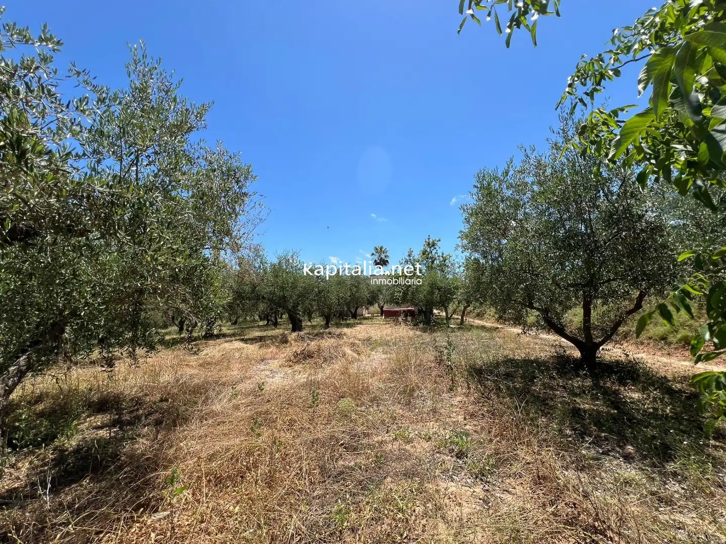 Villa mit Garten zum Verkauf in El Pilar, imagen 33