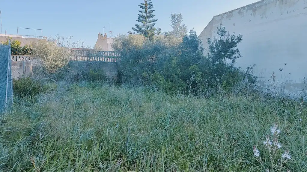 Land for sale in Llucmajor