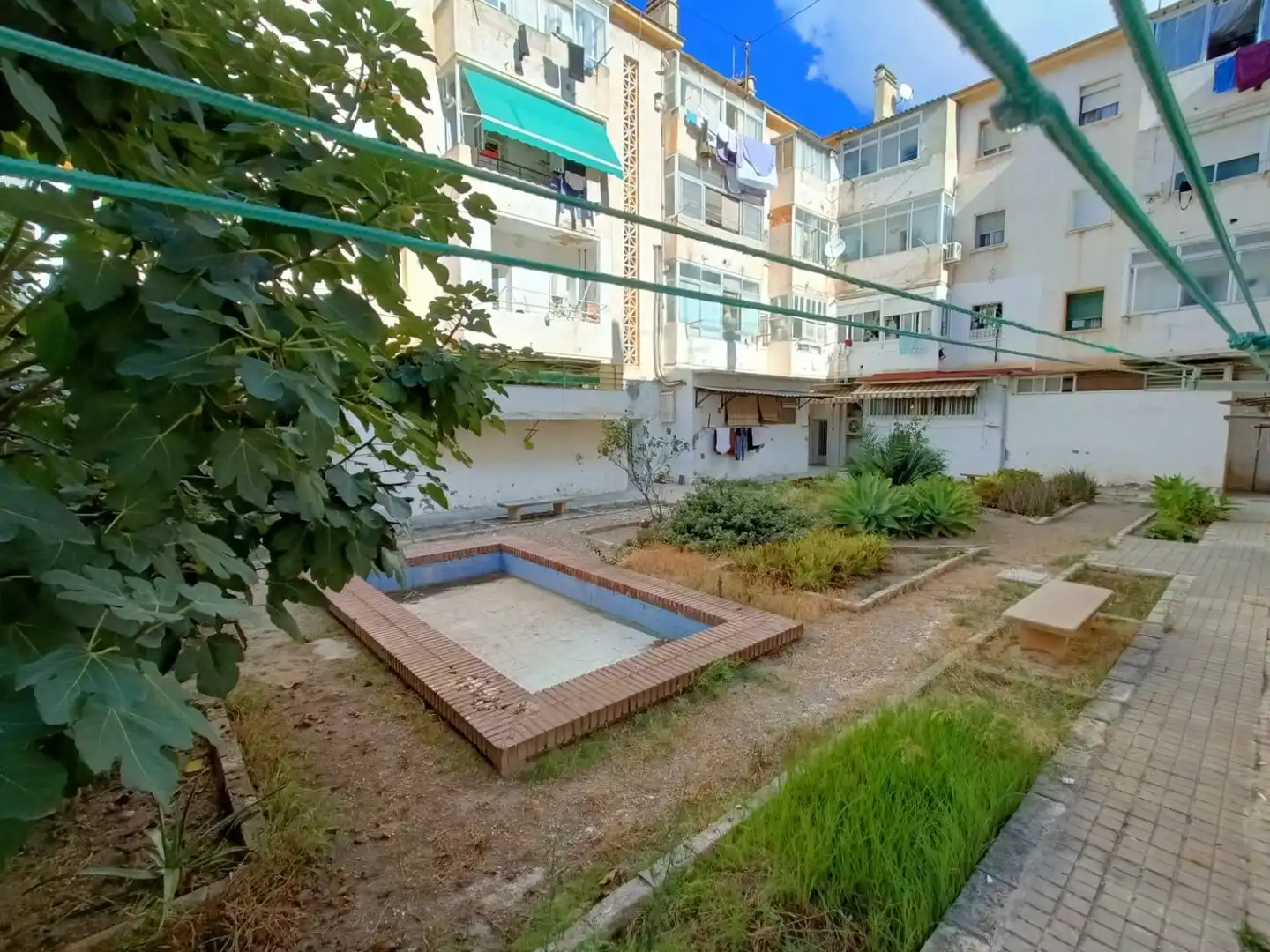 Bajo en venta en Pla - Carolinas, imagen 31