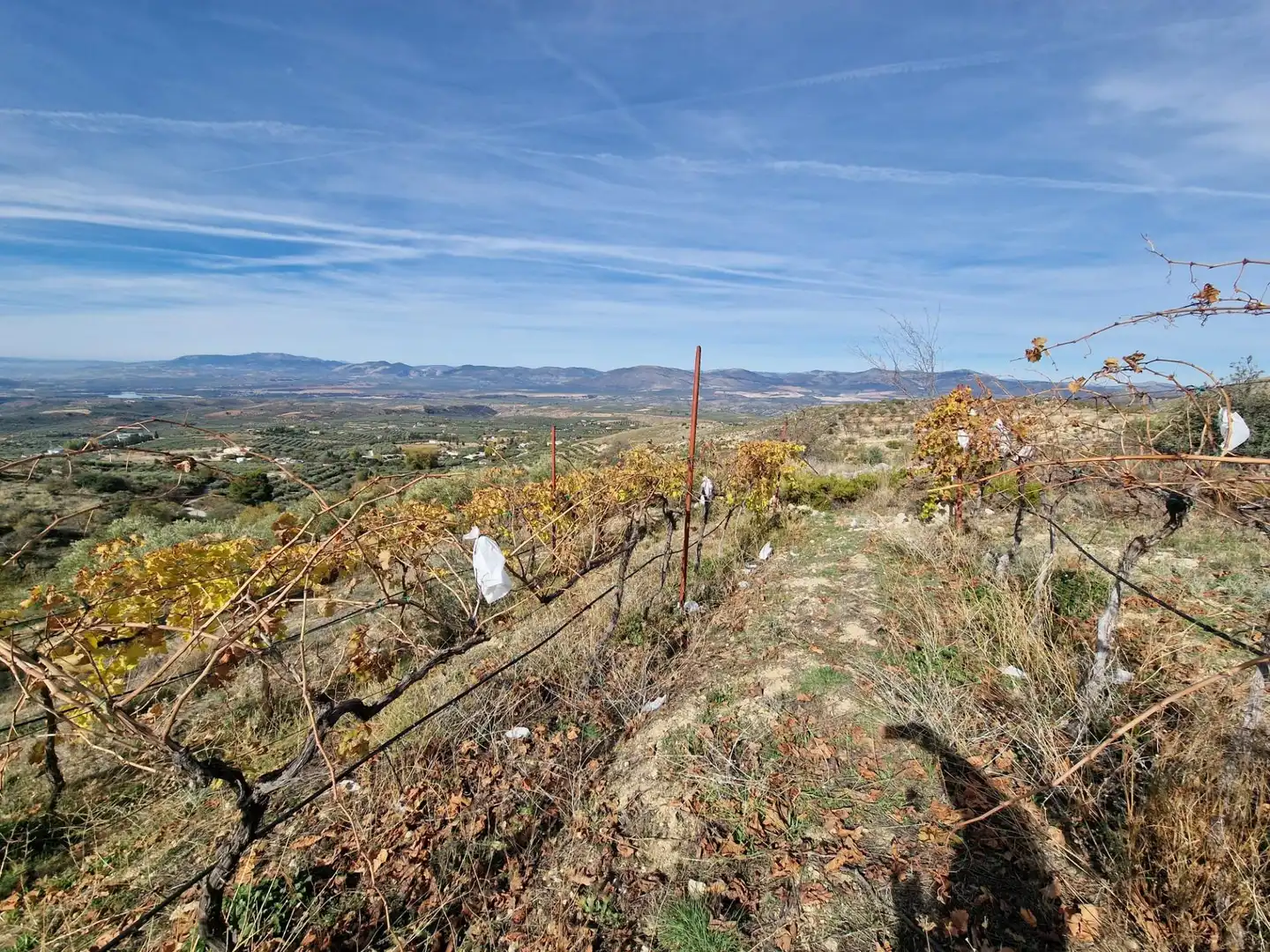 Maison rustique avec jardin à vendre à Cogollos de la Vega, imagen 61