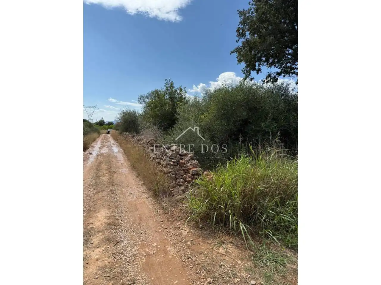 Terreny rústic en venda a Poligono POLIGONO 4 PARCELA 783, imagen 4