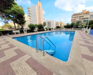 Piscina de Apartament de lloguer en Gandia amb Terrassa