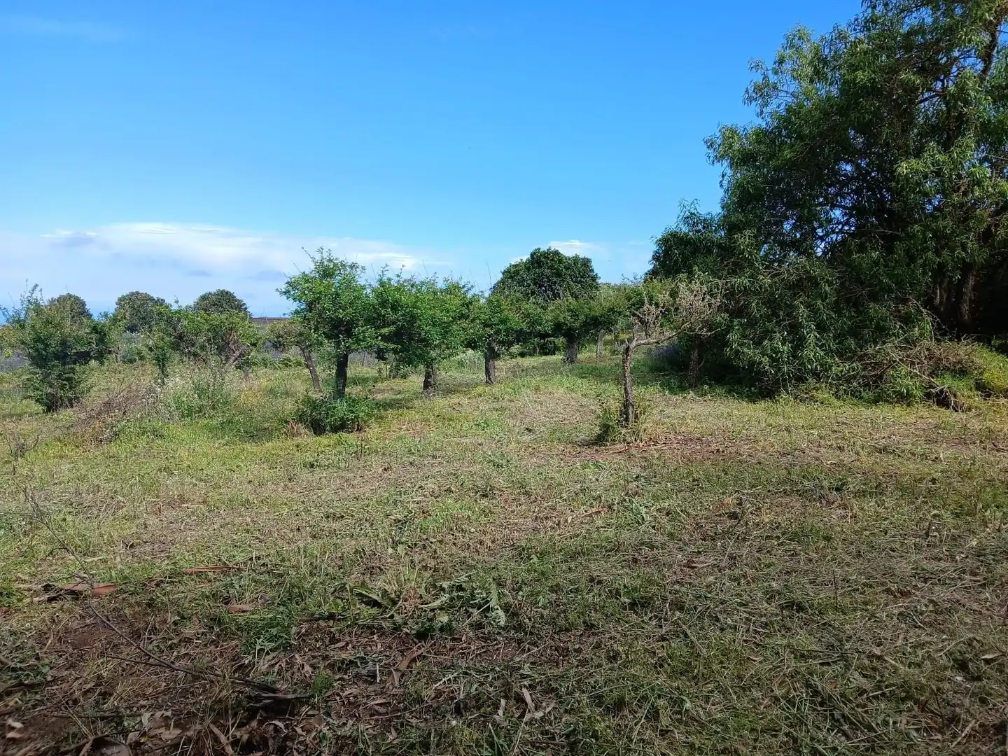 Finca rústica en venta en El Rosario con Jardín privado, Terraza y Alarma