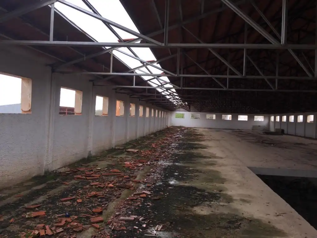Vista exterior de Terreno en venta en Madridejos