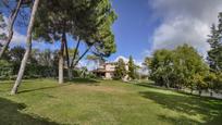 Jardí de Casa o xalet en venda en  Madrid Capital amb Aire condicionat, Calefacció i Jardí privat