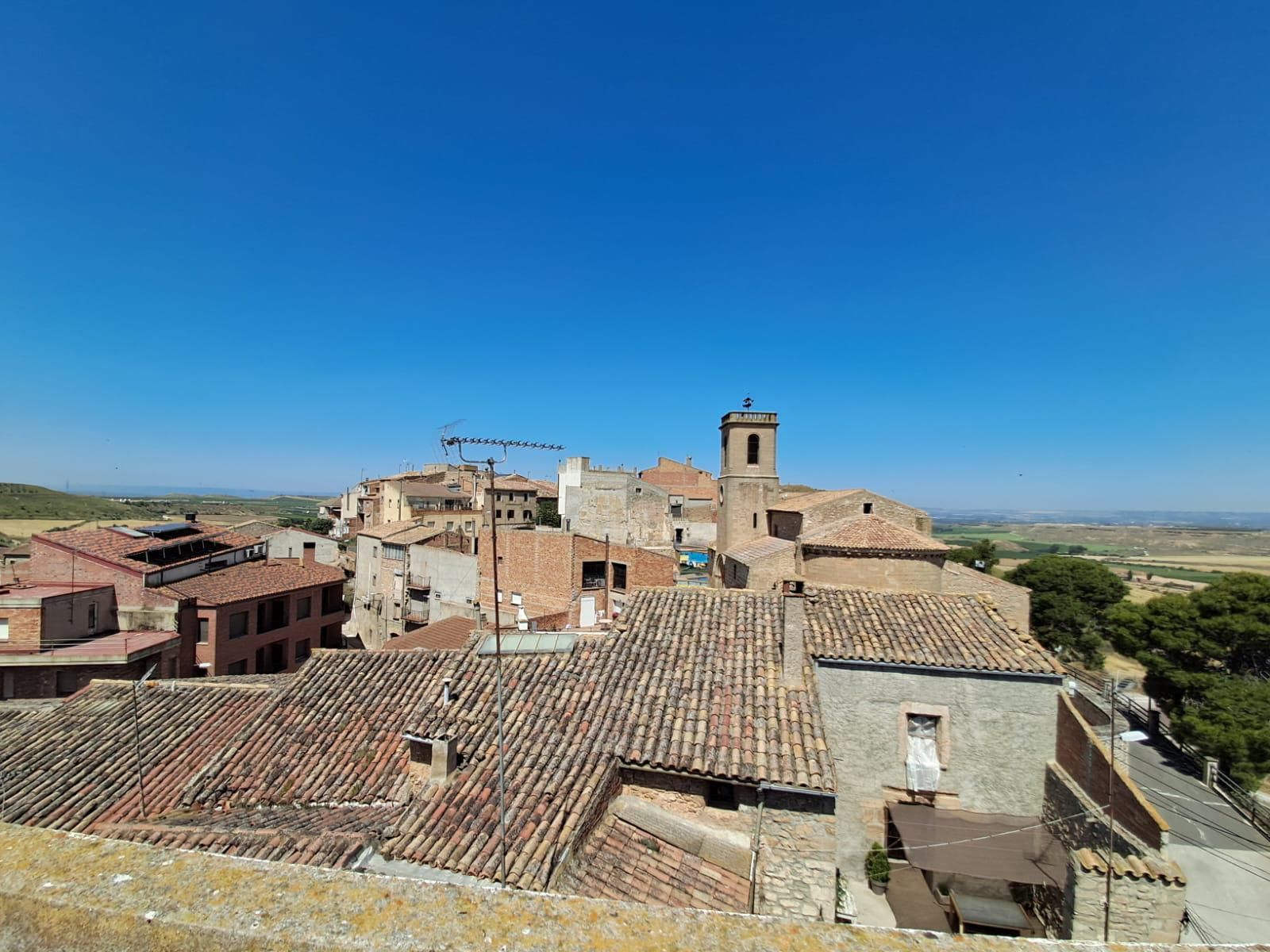 Exterior view of House or chalet for sale in Alfés  with Terrace