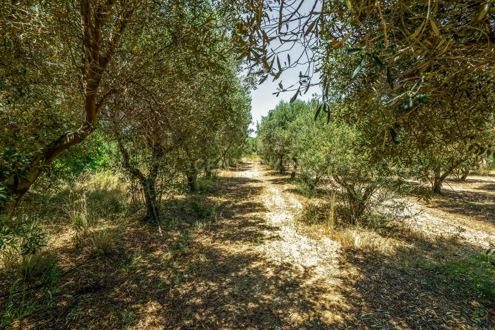 Finca rústica en venta en Arenys de Mar con Jardín privado