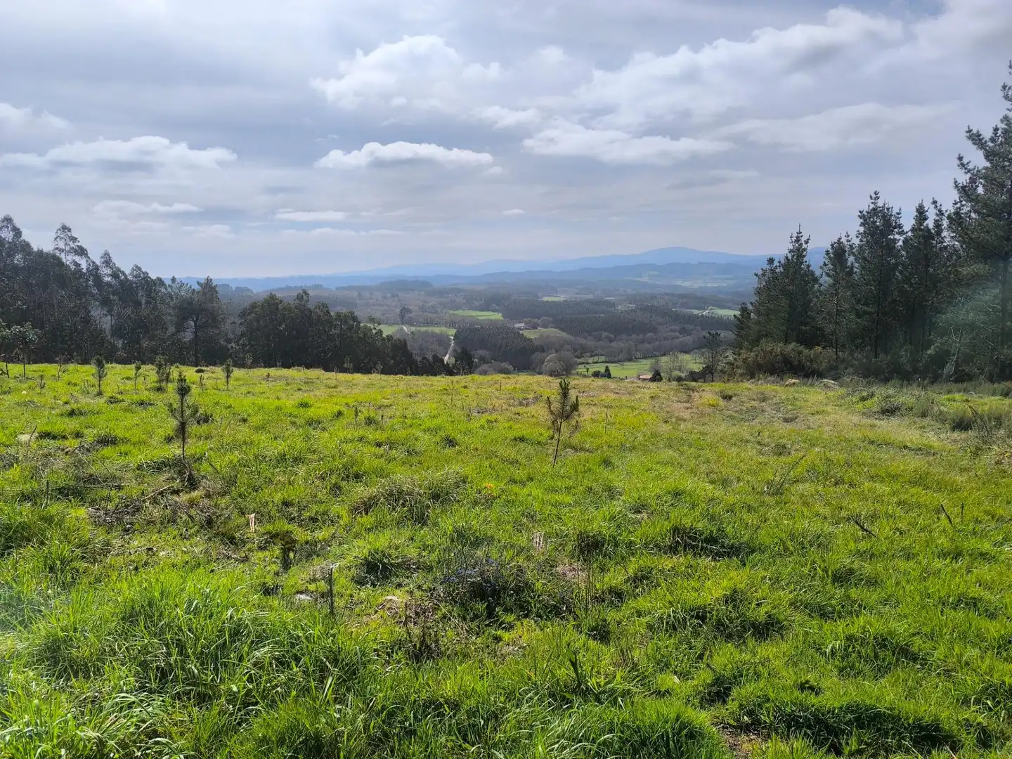 Casa o xalet en venda en Palas de Rei amb Jardí privat